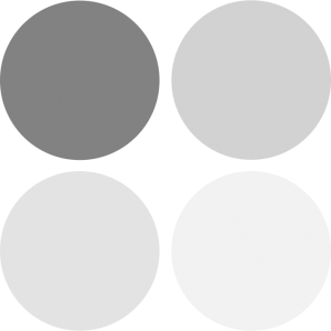 Image for color supporting greys
