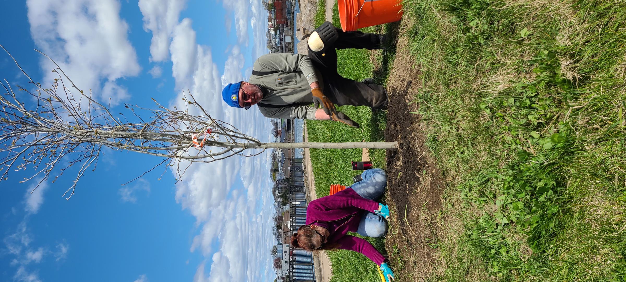 Couple planting a tree at Condor Street Urban Wild