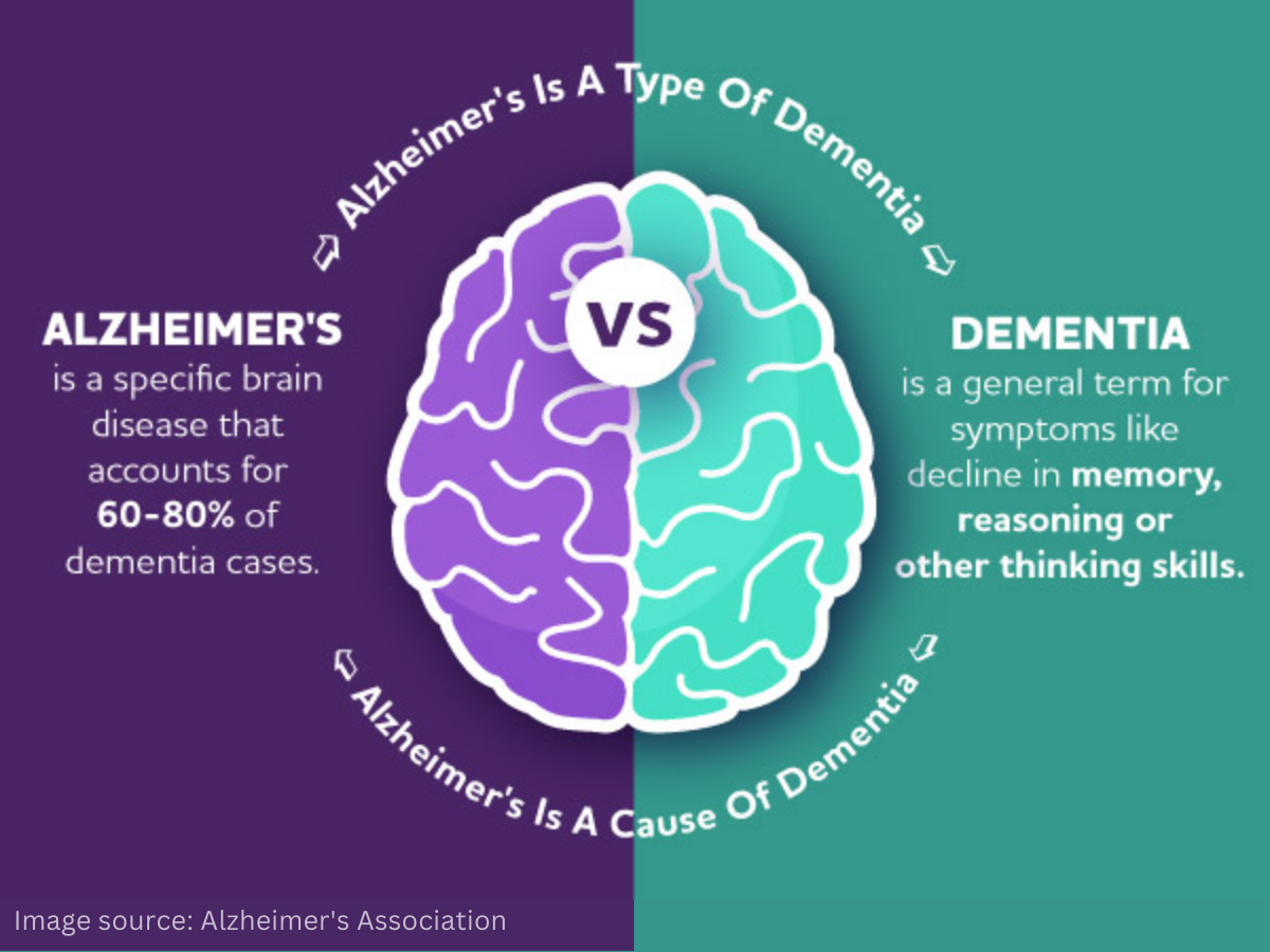 Alzheimer’s is a specific brain disease and the most common cause of dementia, a general term for symptoms of memory loss and cognitive decline. 