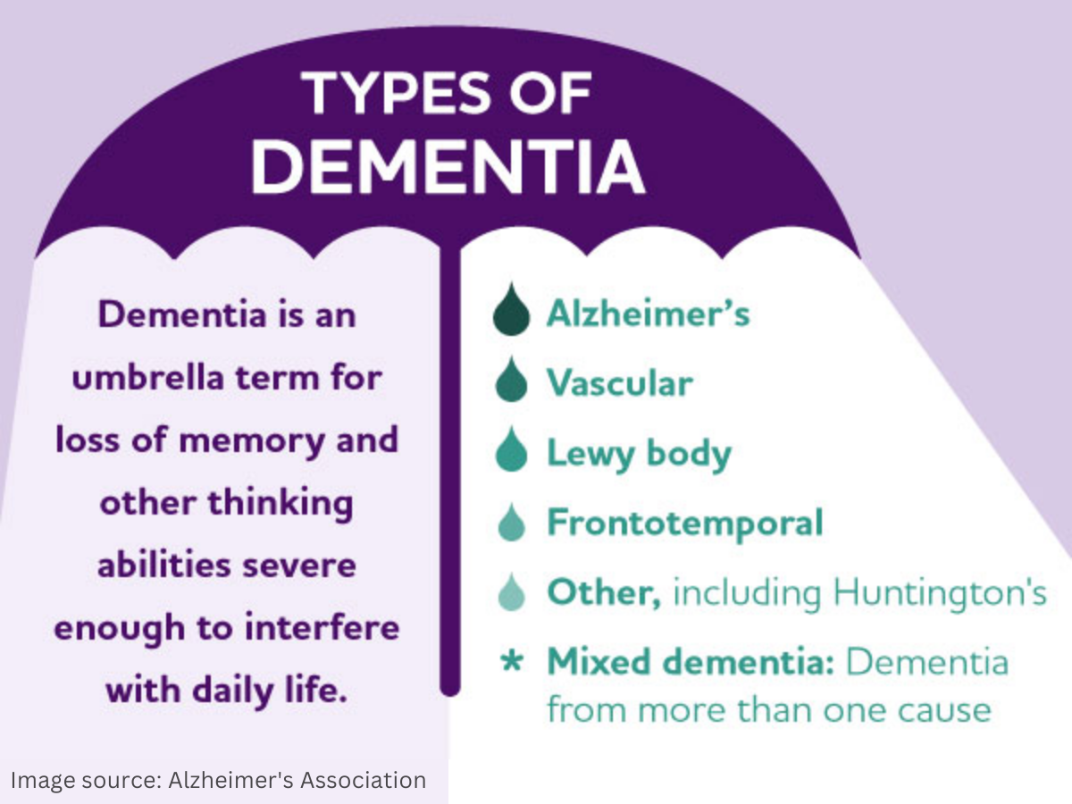 Dementia is an umbrella term for memory loss and cognitive decline caused by a variety of diseases and other factors. 