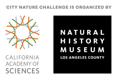The California Academy of Sciences logo is on the right and Los Angeles County logo is on the left.