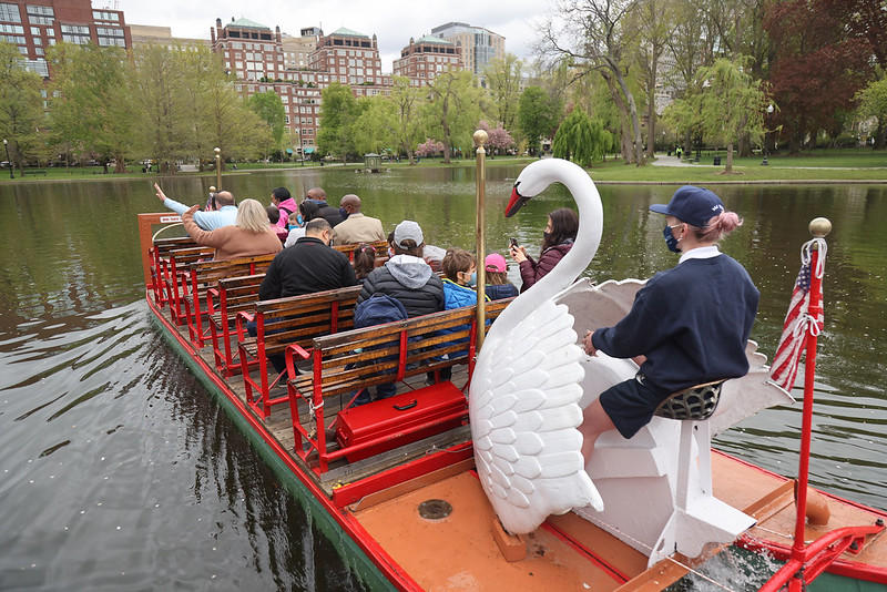Swan Boat 