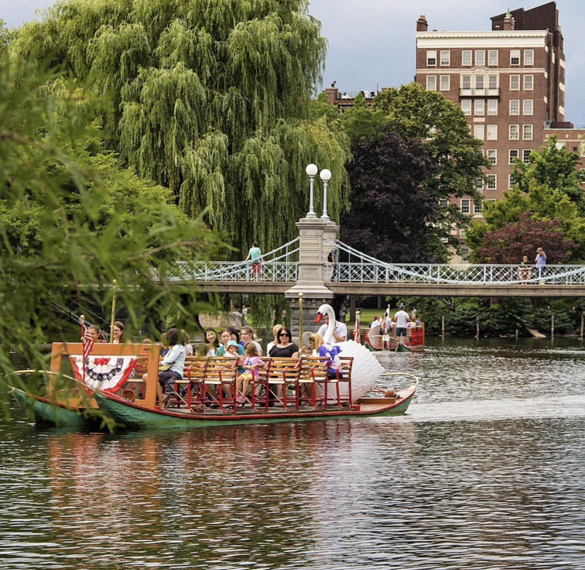 Swan Boats in the Boston Public Garden Lagoon