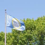Image for city of boston flag
