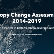 Boston tree canopy data