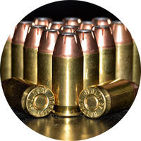 Image for boston police gun license guidelines